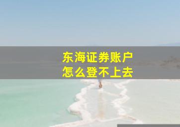 东海证券账户怎么登不上去