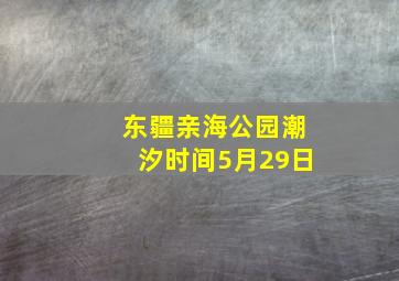 东疆亲海公园潮汐时间5月29日