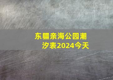 东疆亲海公园潮汐表2024今天