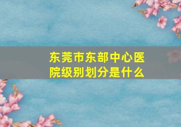 东莞市东部中心医院级别划分是什么