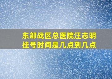 东部战区总医院汪志明挂号时间是几点到几点