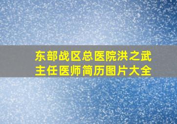 东部战区总医院洪之武主任医师简历图片大全