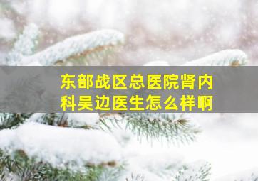 东部战区总医院肾内科吴边医生怎么样啊