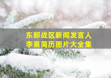 东部战区新闻发言人李熹简历图片大全集