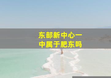 东部新中心一中属于肥东吗