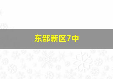 东部新区7中