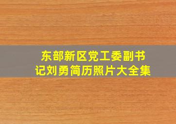 东部新区党工委副书记刘勇简历照片大全集