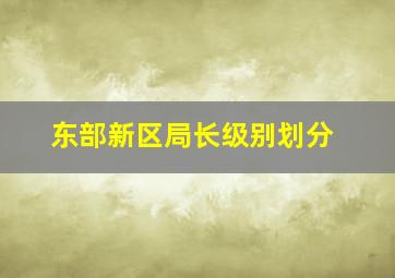 东部新区局长级别划分