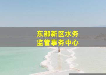 东部新区水务监管事务中心