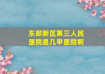 东部新区第三人民医院是几甲医院啊