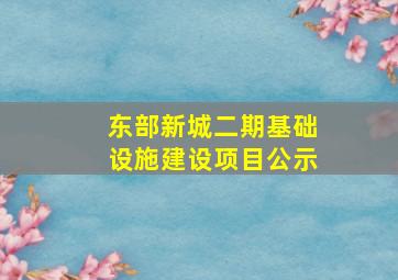 东部新城二期基础设施建设项目公示