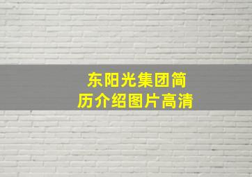 东阳光集团简历介绍图片高清