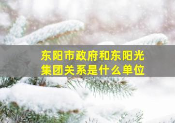 东阳市政府和东阳光集团关系是什么单位