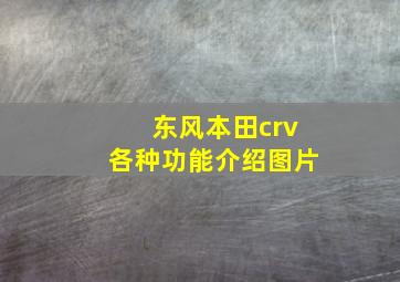 东风本田crv各种功能介绍图片