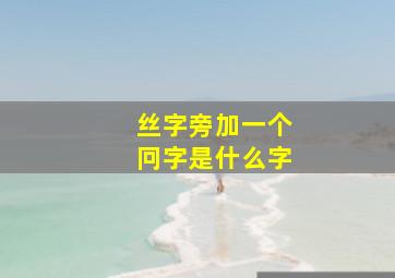 丝字旁加一个冋字是什么字