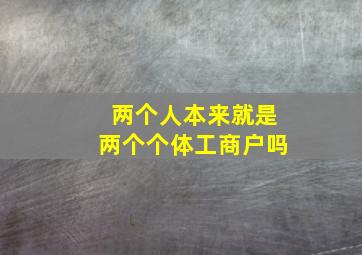 两个人本来就是两个个体工商户吗