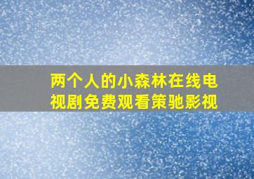 两个人的小森林在线电视剧免费观看策驰影视