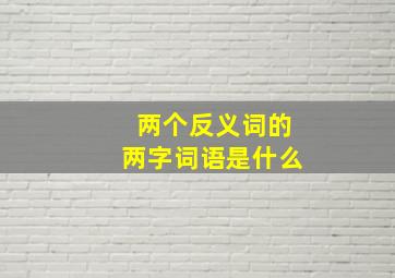 两个反义词的两字词语是什么