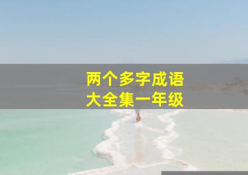 两个多字成语大全集一年级