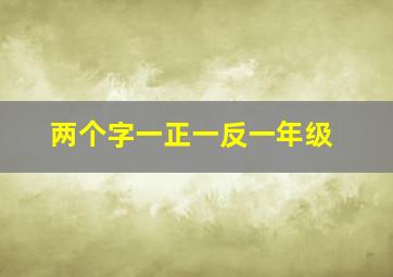 两个字一正一反一年级