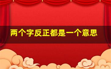 两个字反正都是一个意思