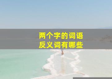 两个字的词语反义词有哪些