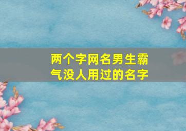 两个字网名男生霸气没人用过的名字