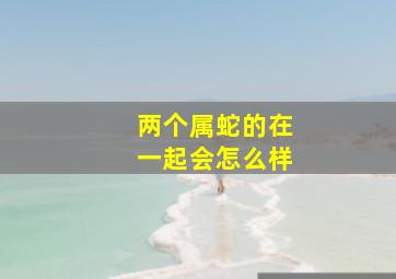 两个属蛇的在一起会怎么样