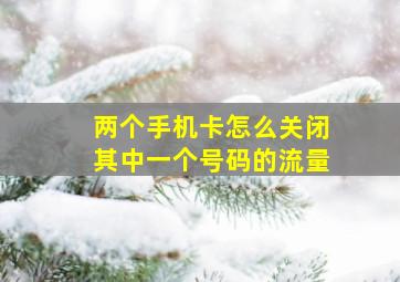 两个手机卡怎么关闭其中一个号码的流量