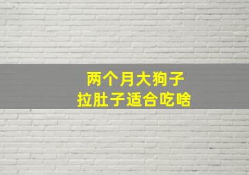 两个月大狗子拉肚子适合吃啥