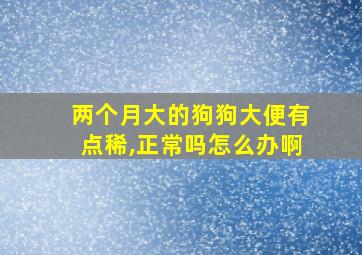 两个月大的狗狗大便有点稀,正常吗怎么办啊