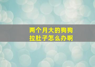 两个月大的狗狗拉肚子怎么办啊