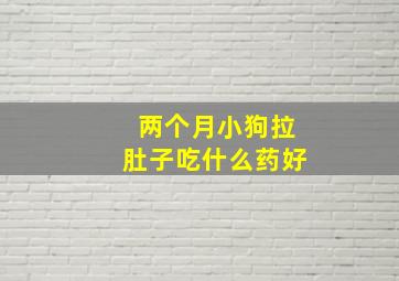 两个月小狗拉肚子吃什么药好