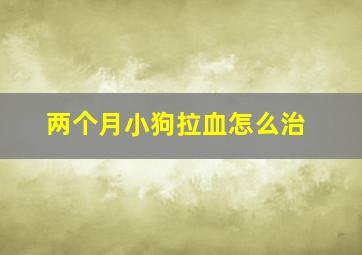 两个月小狗拉血怎么治