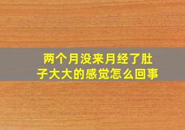 两个月没来月经了肚子大大的感觉怎么回事