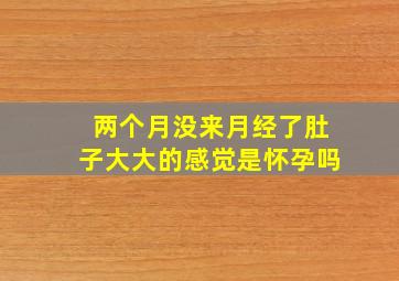 两个月没来月经了肚子大大的感觉是怀孕吗