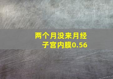 两个月没来月经子宫内膜0.56