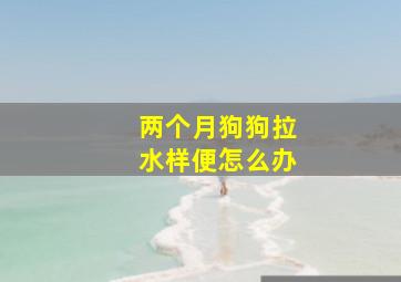 两个月狗狗拉水样便怎么办