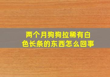 两个月狗狗拉稀有白色长条的东西怎么回事