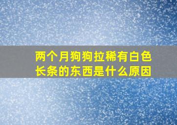 两个月狗狗拉稀有白色长条的东西是什么原因