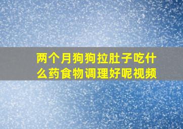 两个月狗狗拉肚子吃什么药食物调理好呢视频