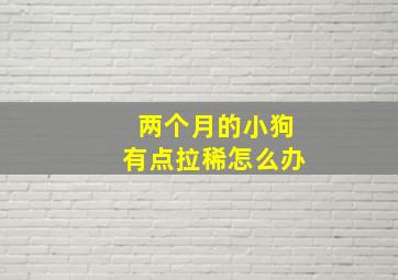 两个月的小狗有点拉稀怎么办