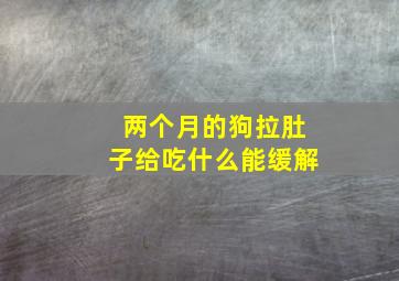 两个月的狗拉肚子给吃什么能缓解