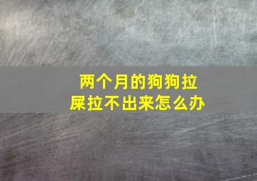 两个月的狗狗拉屎拉不出来怎么办