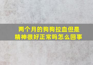 两个月的狗狗拉血但是精神很好正常吗怎么回事