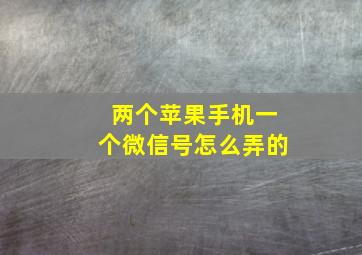 两个苹果手机一个微信号怎么弄的