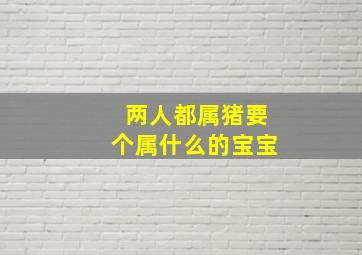 两人都属猪要个属什么的宝宝