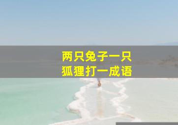 两只兔子一只狐狸打一成语