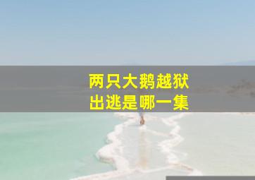 两只大鹅越狱出逃是哪一集