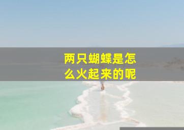 两只蝴蝶是怎么火起来的呢